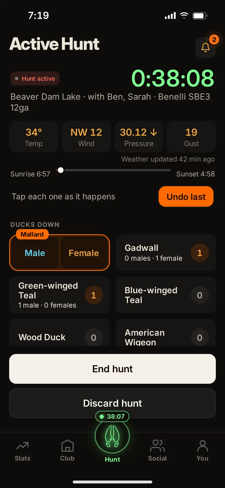 Active hunt: the Mallard tile split into Male and Female, the timer at 38 minutes